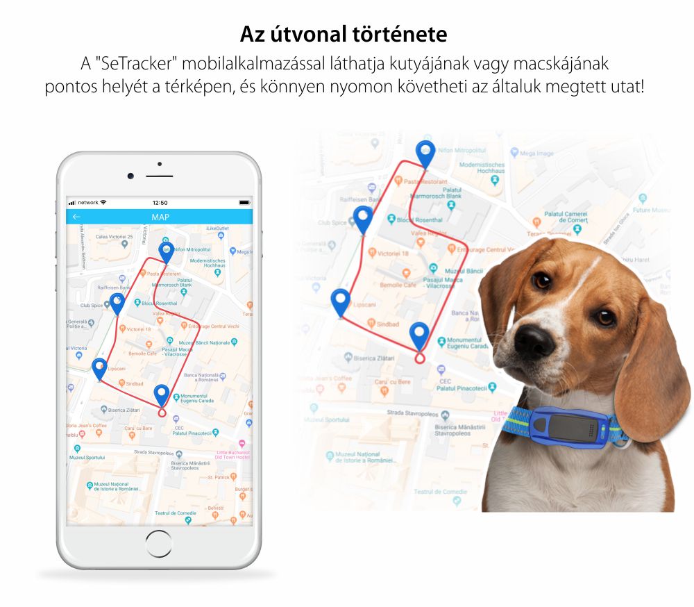 Közepes és nagy kutyák számára nyomkövető nyakörv YQT-Q1, GPS Nyomkövető, Útvonal-előzmények, Biztonsági kerület, Figyelőhívás, Zseblámpa, Piros