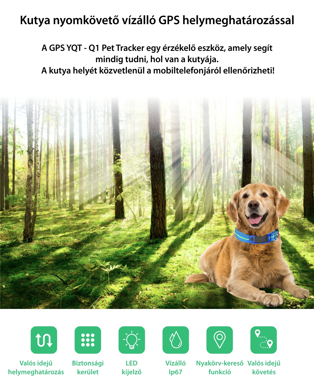 Közepes és nagy kutyák számára nyomkövető nyakörv YQT-Q1, GPS Nyomkövető, Útvonal-előzmények, Biztonsági kerület, Figyelőhívás, Zseblámpa, Kék