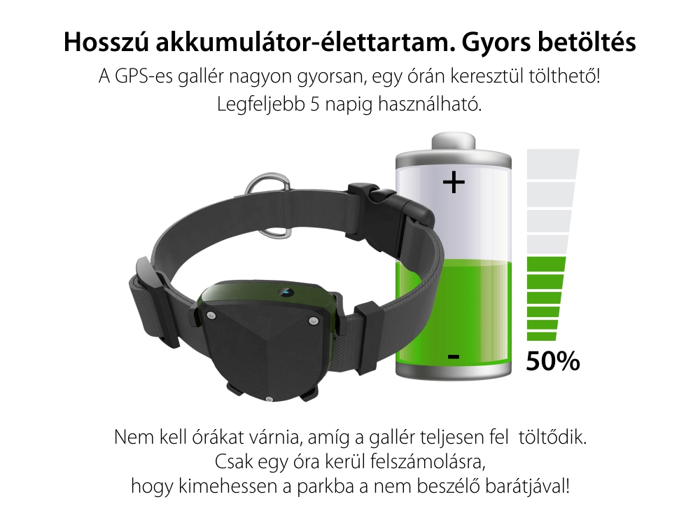 GPS nyomkövető állatoknak Motto TD-05D GPS Helymeghatározó funkcióval, Biztonsági kerület, LED jelző,  Útvonalelőzmények